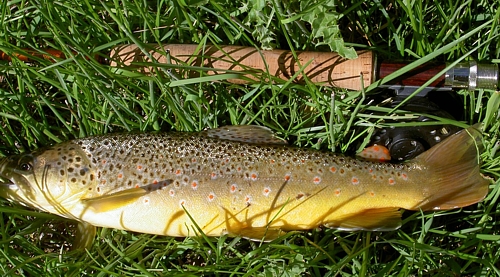Pine Creek, a trout laden creek in Northwestern Pennsylvania